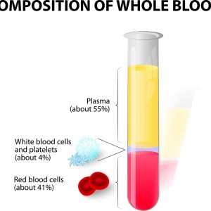 Composition of whole blood. blood plasma and formed elements in test tube. Hematocrit. Red blood cells (erythrocytes), white cells (lymphocyte) and platelets (thrombocytes)